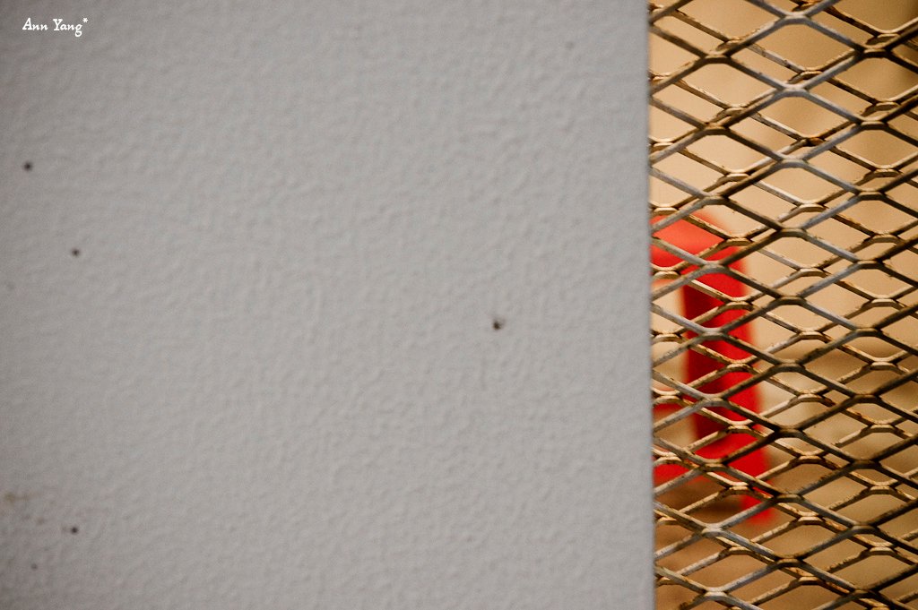 DSC02949-1.jpg