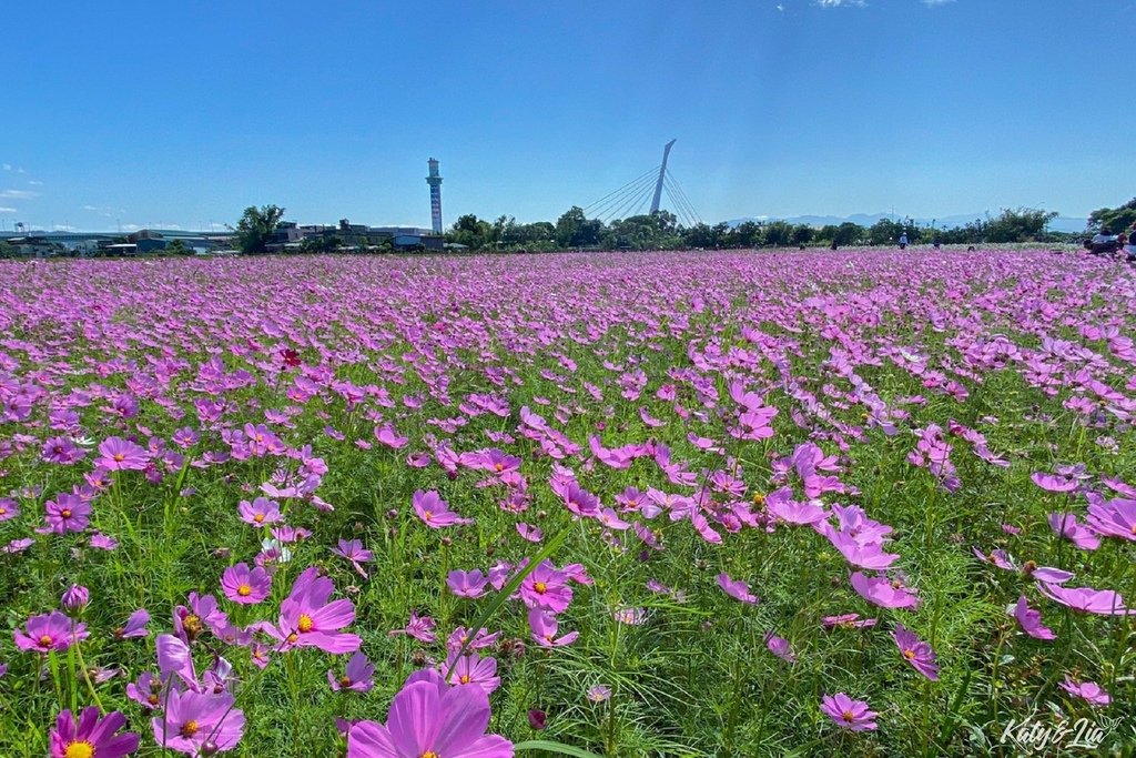 關渡花海_059.jpg