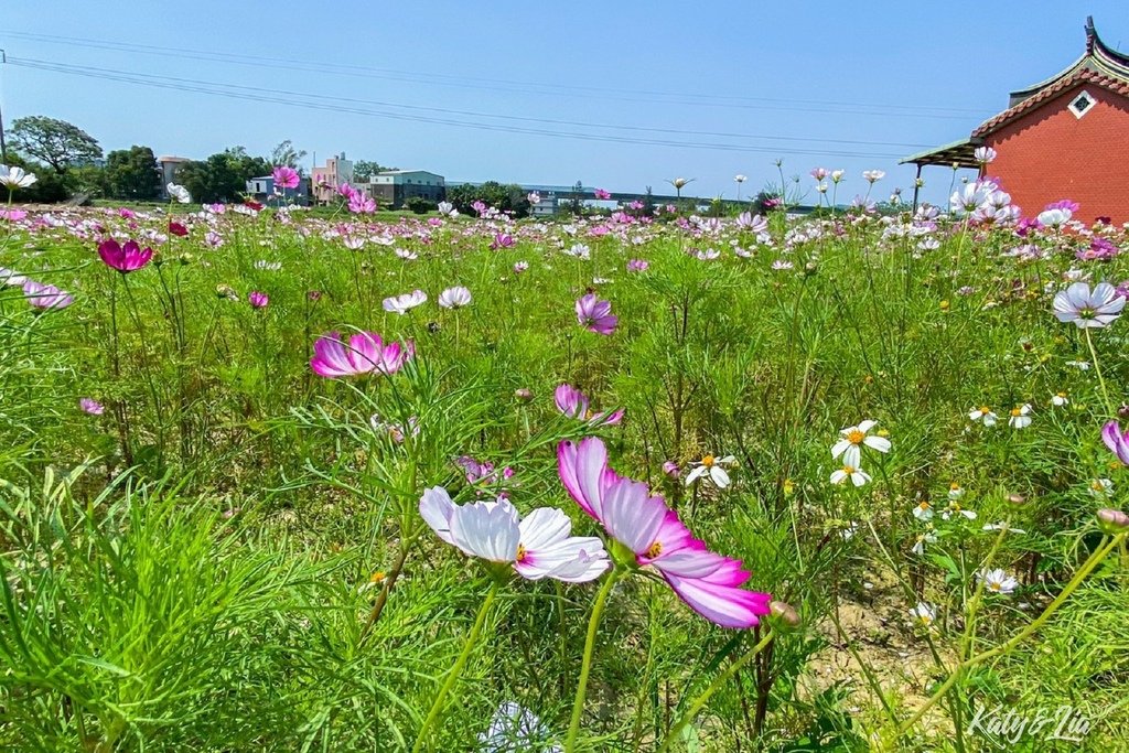 坑口彩繪村_020.jpg