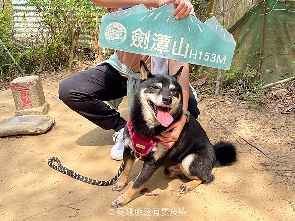【寵物毛孩。士林劍潭山親山步道】捷運劍潭站 圓山風景區 微風