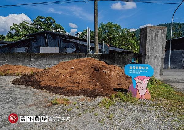 豐年農場｜靈芝 採菇 百菇生態農場 親子景點｜克羅德先生