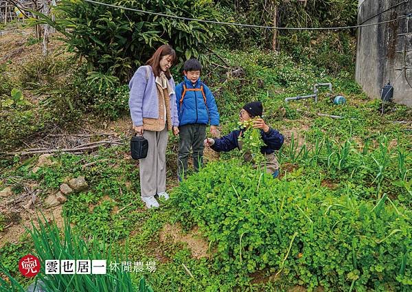 雲也居一休閒農場｜苗栗大湖 客家景觀餐廳 有機蔬菜採收 田媽