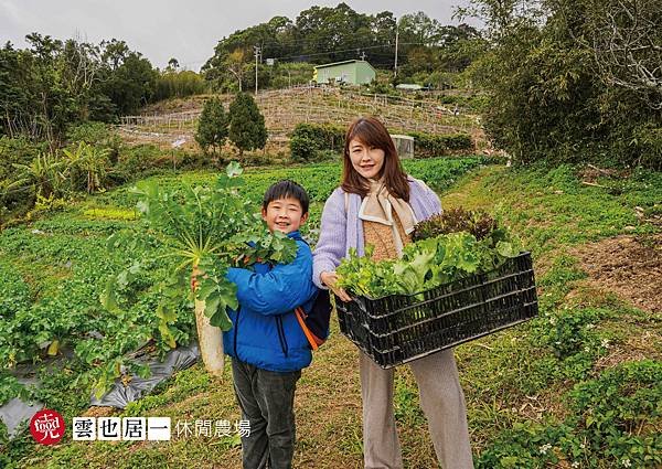 雲也居一休閒農場｜苗栗大湖 客家景觀餐廳 有機蔬菜採收 田媽