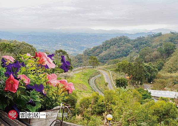 雲也居一休閒農場｜苗栗大湖 客家景觀餐廳 有機蔬菜採收 田媽