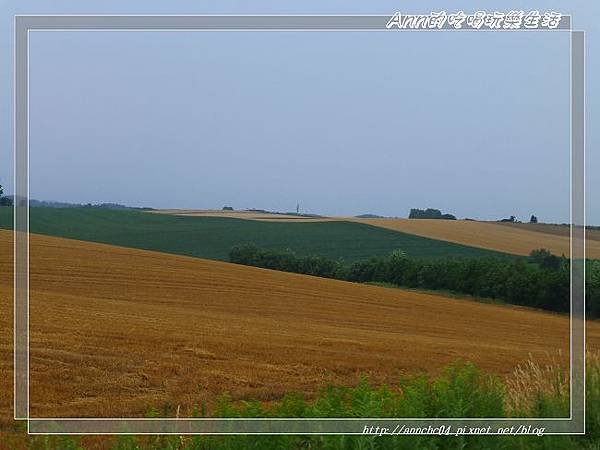 nEO_IMG_P1110510