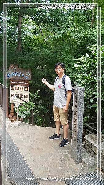 nEO_IMG_20180811_101827.jpg