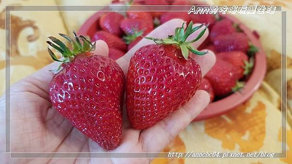 nEO_IMG_20190406_171515.jpg