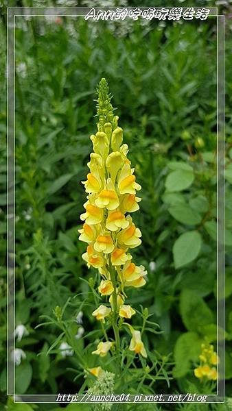 nEO_IMG_20190705_105323.jpg