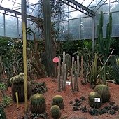 IMAG1902