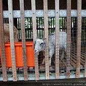 SAM_0703