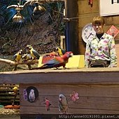 SAM_0783