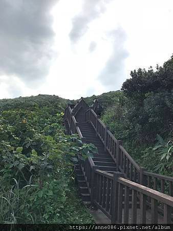 IMG_5087.JPG
