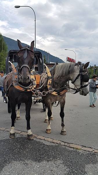 20150814_163015.jpg
