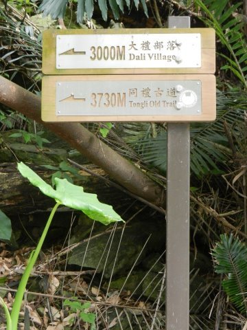 DSCN1428.JPG