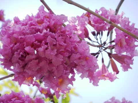 DSCN5943.JPG