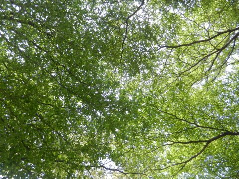 DSCN3216.JPG
