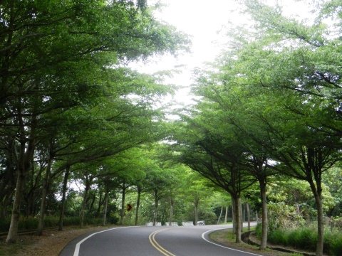 DSCN3852.JPG