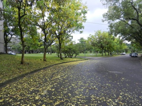 DSCN2616.JPG