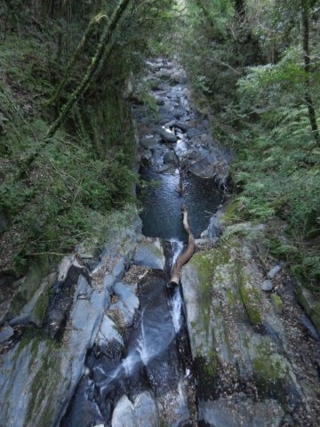 DSCN1326.JPG