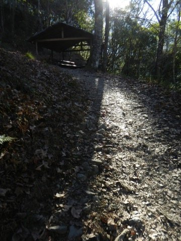 DSCN1567.JPG