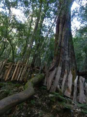 DSCN1855.JPG