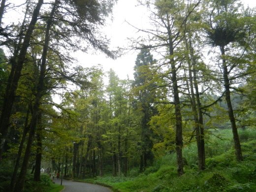DSCN1858.JPG