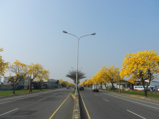 DSCN8873.JPG