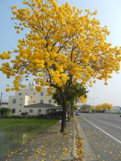 DSCN8899.JPG
