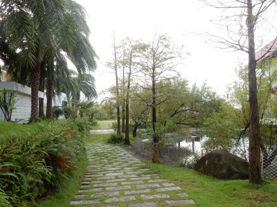 DSCN4352.JPG