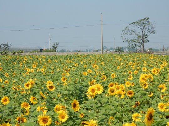 DSCN3607.JPG