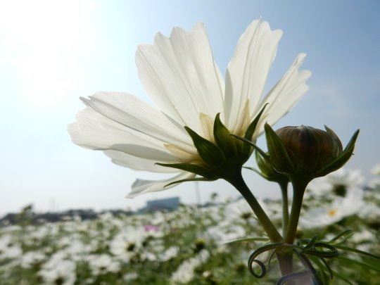 DSCN3676.JPG