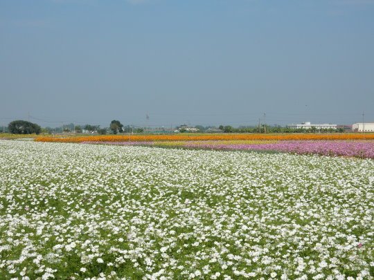 DSCN3700.JPG