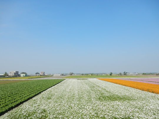 DSCN3804.JPG