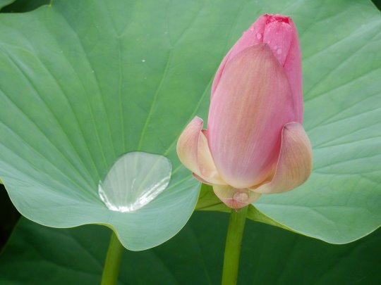 DSCN2971.JPG