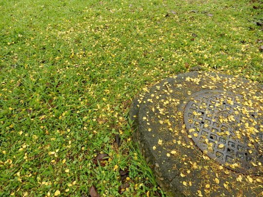 DSCN3192.JPG