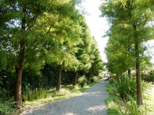 DSCN9615.JPG