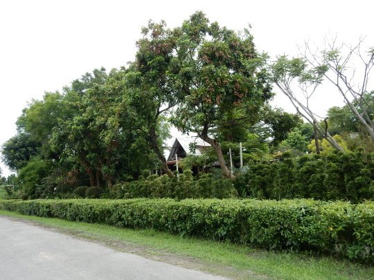 DSCN1122.JPG