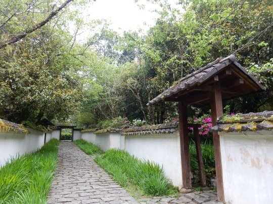 DSCN0930.JPG