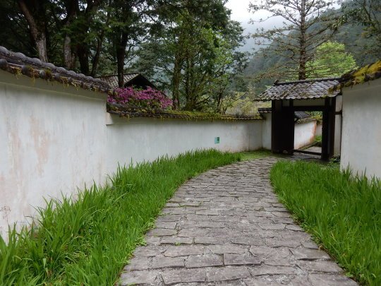 DSCN0935.JPG
