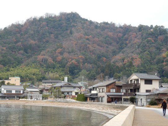 DSCN2338.JPG