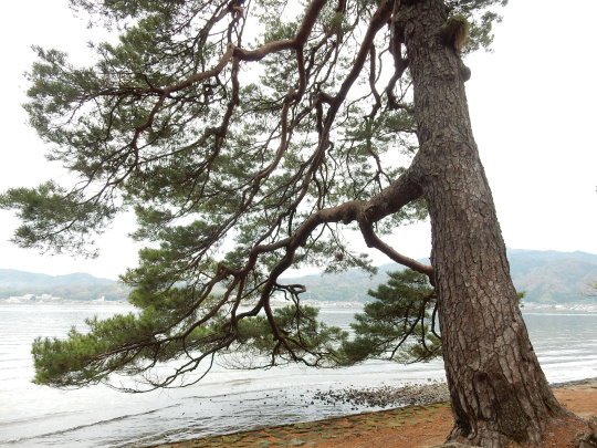 DSCN2280.JPG