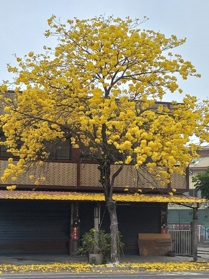 20220316_074937.jpg
