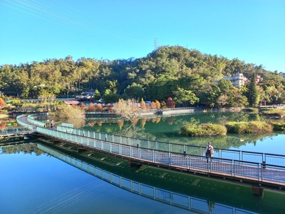 【南投魚池】浪漫動人的日月潭水中落羽松林－112年12月南投
