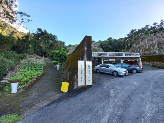 【南投水里】梅花撲鼻香的陳董梅園－112年12月南投小旅行(