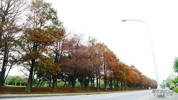 羅東運動公園 民宿.店家 13