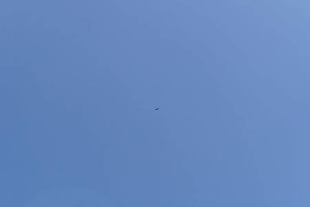 DSC07630.JPG
