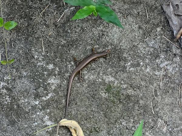 DSC02981