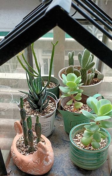 20220510_122334.jpg