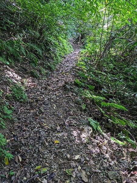 石空古道+坪溪古道