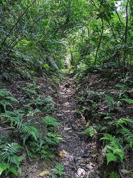 石空古道+坪溪古道